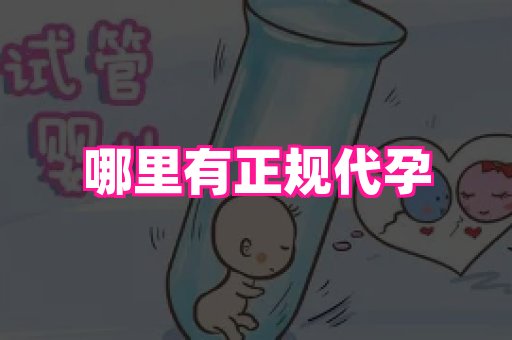 南昌助孕网 1